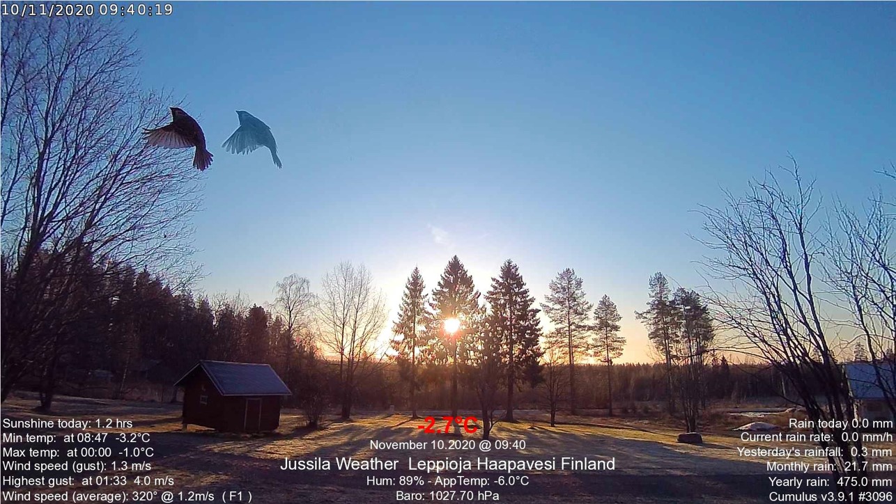 7_10.11.2020 klo 09.40.38.jpg